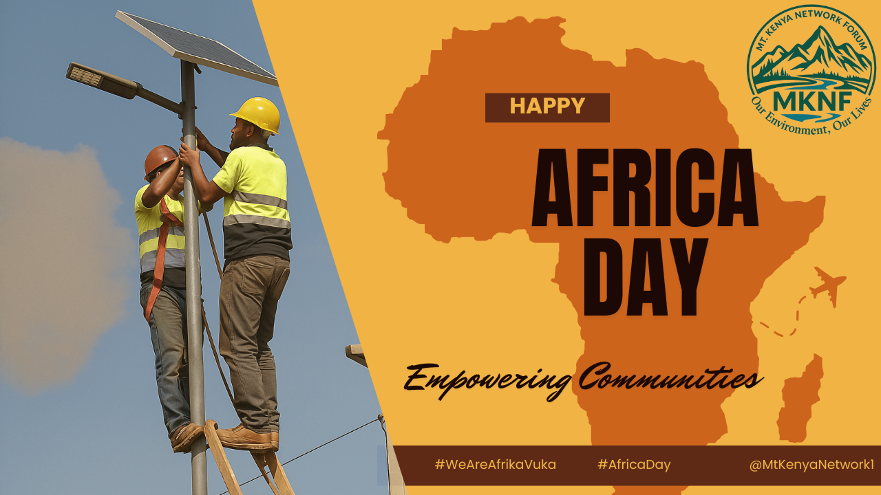 Africa Day REPower Afrika solar action