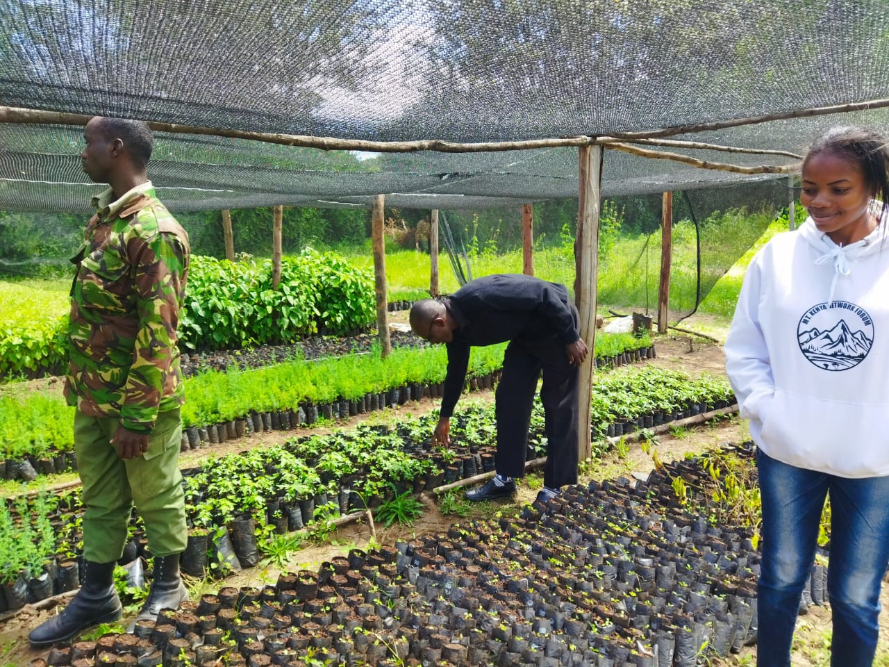 Landscape in the Mt. Kenya region