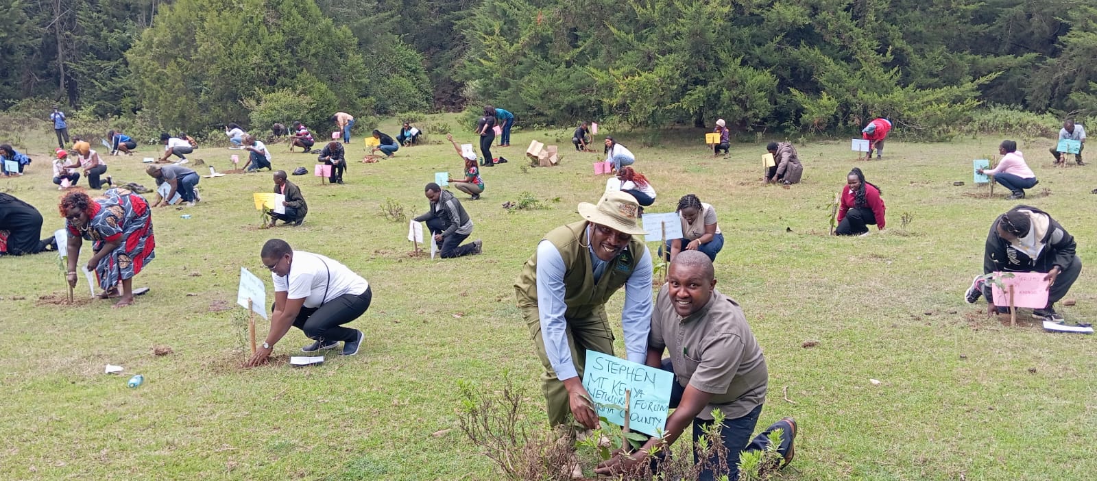 Community tree growing and restoration project