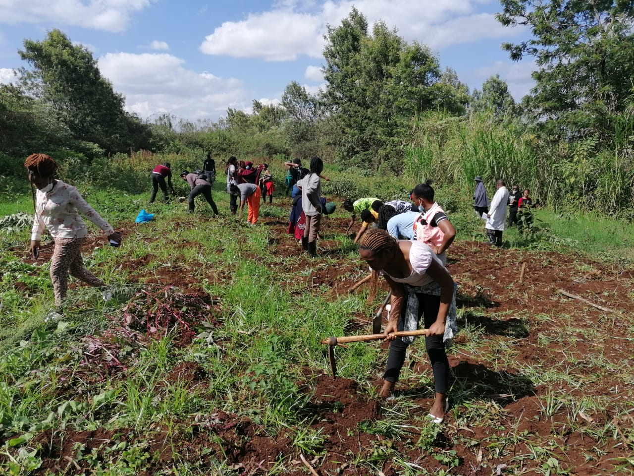 Environmental restoration work